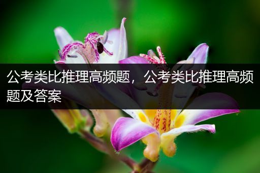 公考类比推理高频题，公考类比推理高频题及答案