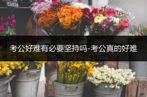 考公好难有必要坚持吗-考公真的好难