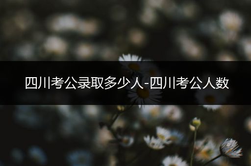 四川考公录取多少人-四川考公人数