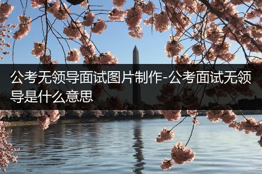 公考无领导面试图片制作-公考面试无领导是什么意思