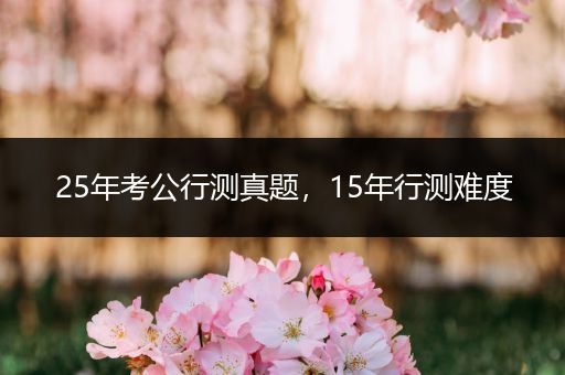25年考公行测真题，15年行测难度