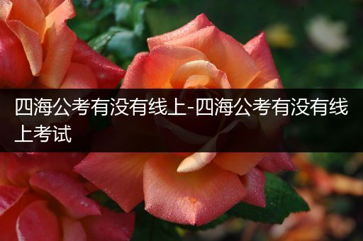 四海公考有没有线上-四海公考有没有线上考试