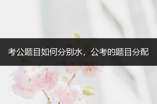 考公题目如何分别水，公考的题目分配