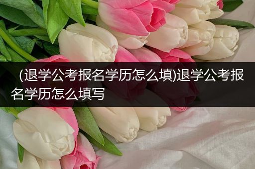 （退学公考报名学历怎么填)退学公考报名学历怎么填写