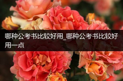 哪种公考书比较好用_哪种公考书比较好用一点
