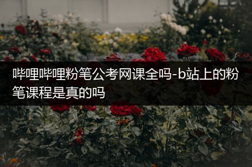 哔哩哔哩粉笔公考网课全吗-b站上的粉笔课程是真的吗