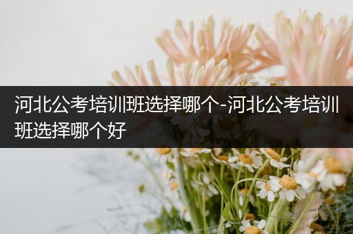 河北公考培训班选择哪个-河北公考培训班选择哪个好