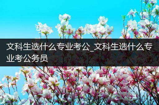 文科生选什么专业考公_文科生选什么专业考公务员
