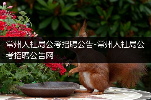 常州人社局公考招聘公告-常州人社局公考招聘公告网