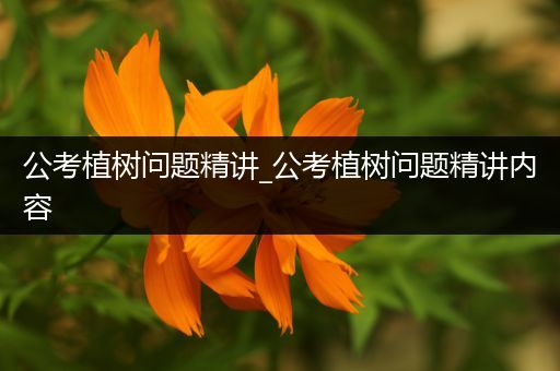 公考植树问题精讲_公考植树问题精讲内容