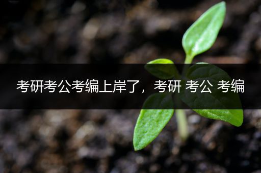 考研考公考编上岸了，考研 考公 考编