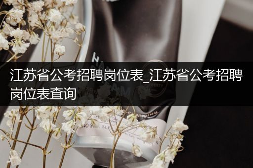江苏省公考招聘岗位表_江苏省公考招聘岗位表查询