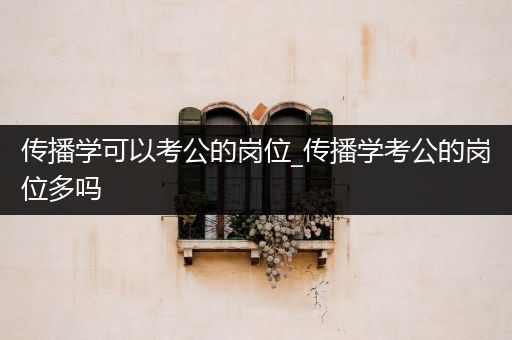 传播学可以考公的岗位_传播学考公的岗位多吗