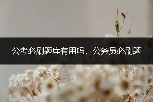公考必刷题库有用吗，公务员必刷题