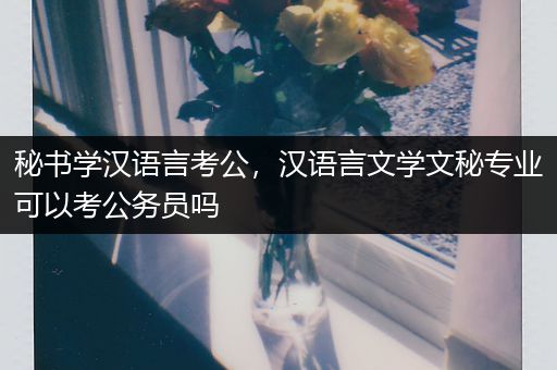 秘书学汉语言考公，汉语言文学文秘专业可以考公务员吗