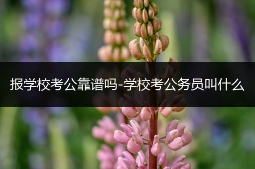 报学校考公靠谱吗-学校考公务员叫什么