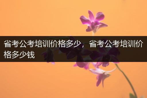 省考公考培训价格多少，省考公考培训价格多少钱