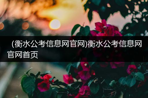 （衡水公考信息网官网)衡水公考信息网官网首页