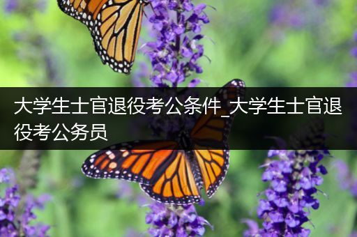 大学生士官退役考公条件_大学生士官退役考公务员