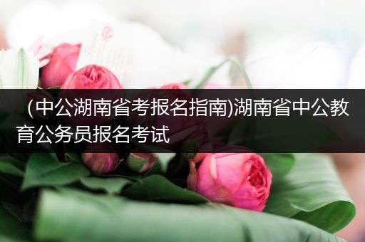 （中公湖南省考报名指南)湖南省中公教育公务员报名考试