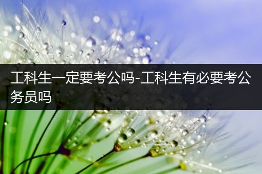 工科生一定要考公吗-工科生有必要考公务员吗