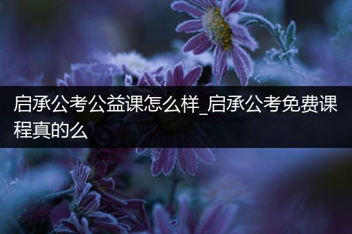 启承公考公益课怎么样_启承公考免费课程真的么