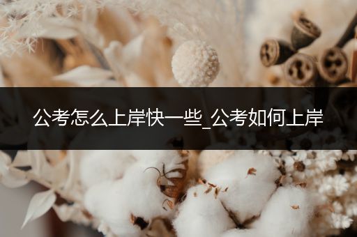 公考怎么上岸快一些_公考如何上岸