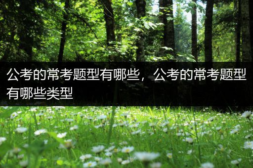 公考的常考题型有哪些，公考的常考题型有哪些类型