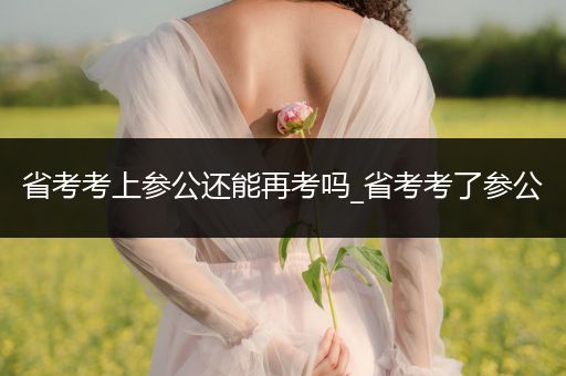省考考上参公还能再考吗_省考考了参公