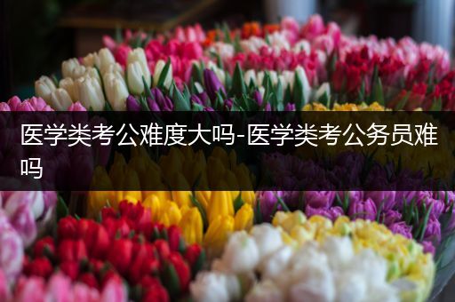 医学类考公难度大吗-医学类考公务员难吗
