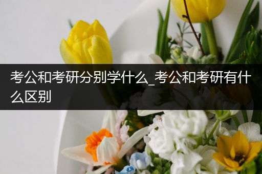 考公和考研分别学什么_考公和考研有什么区别