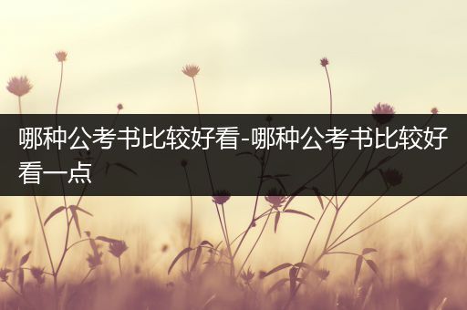 哪种公考书比较好看-哪种公考书比较好看一点
