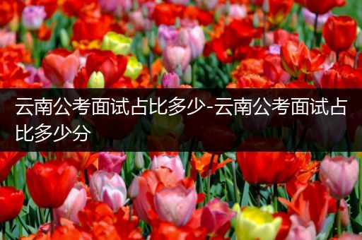 云南公考面试占比多少-云南公考面试占比多少分