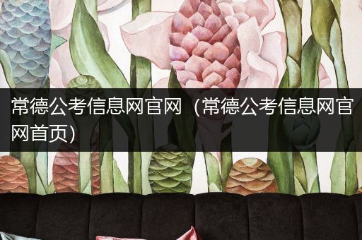 常德公考信息网官网（常德公考信息网官网首页）