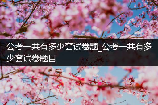 公考一共有多少套试卷题_公考一共有多少套试卷题目