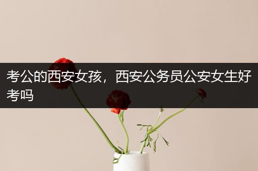 考公的西安女孩，西安公务员公安女生好考吗