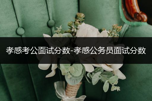 孝感考公面试分数-孝感公务员面试分数