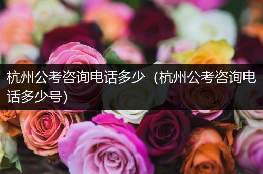 杭州公考咨询电话多少（杭州公考咨询电话多少号）