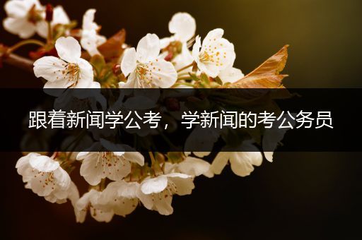 跟着新闻学公考，学新闻的考公务员