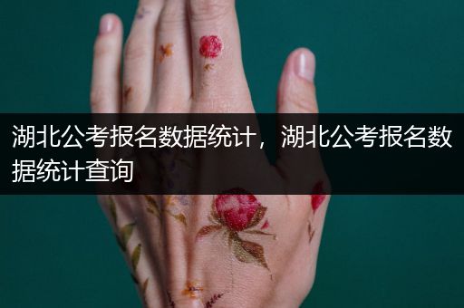 湖北公考报名数据统计，湖北公考报名数据统计查询