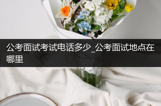 公考面试考试电话多少_公考面试地点在哪里