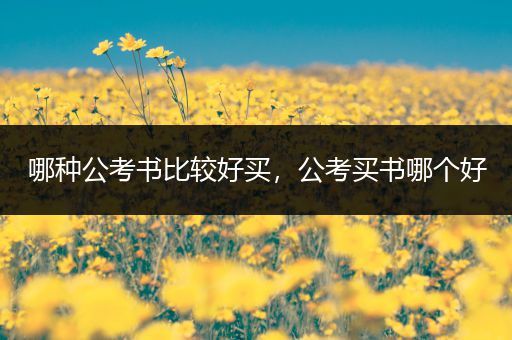 哪种公考书比较好买，公考买书哪个好