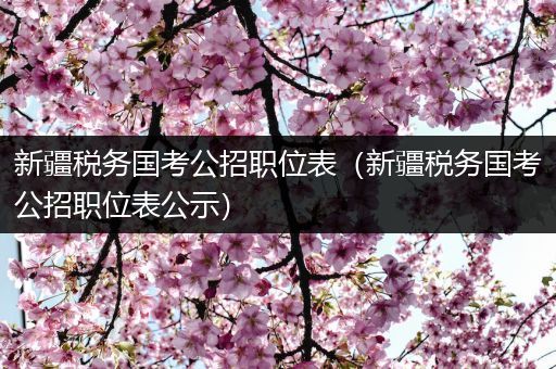 新疆税务国考公招职位表（新疆税务国考公招职位表公示）
