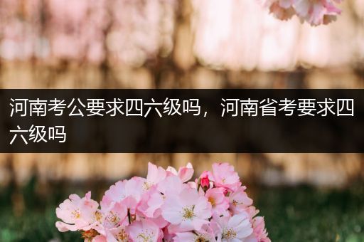 河南考公要求四六级吗，河南省考要求四六级吗