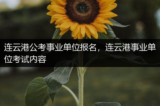 连云港公考事业单位报名，连云港事业单位考试内容