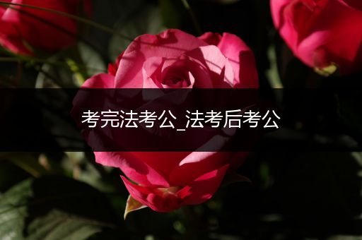 考完法考公_法考后考公