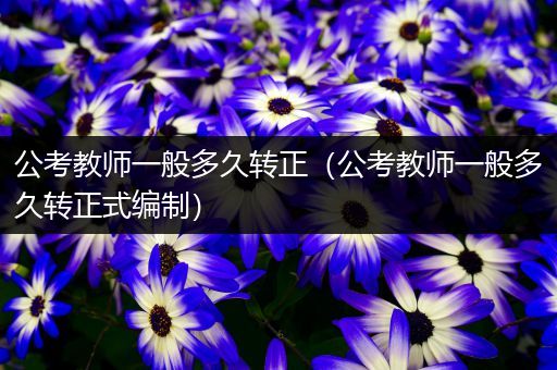 公考教师一般多久转正（公考教师一般多久转正式编制）