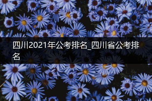 四川2021年公考排名_四川省公考排名