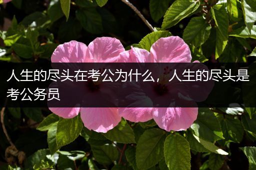 人生的尽头在考公为什么，人生的尽头是考公务员