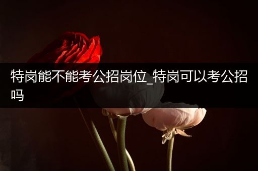 特岗能不能考公招岗位_特岗可以考公招吗